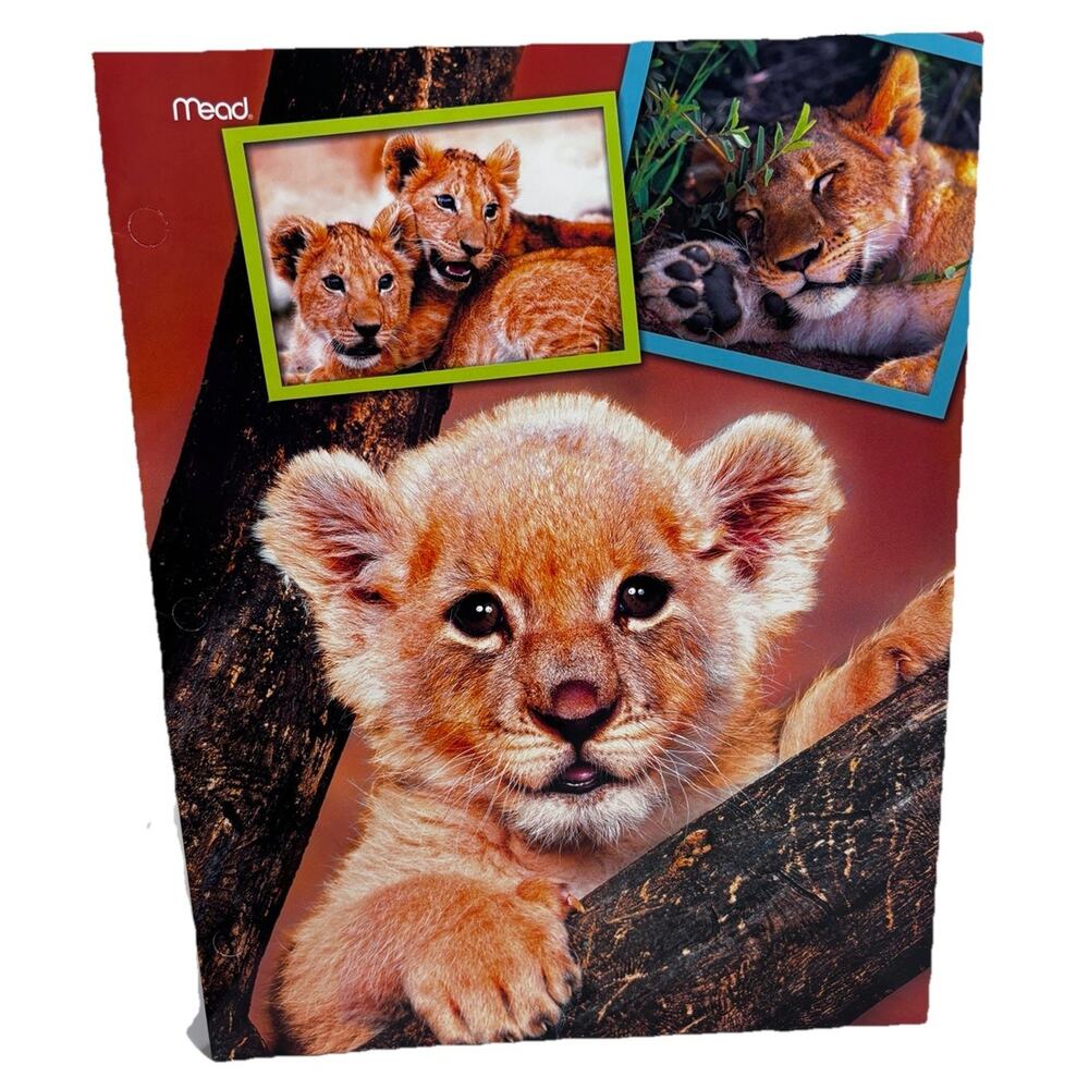 2010 Mead Baby Lion Cub Folder Portfolio 12" x 9.5" School Supply Y2K